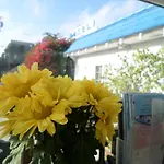 Rest Haven Motel